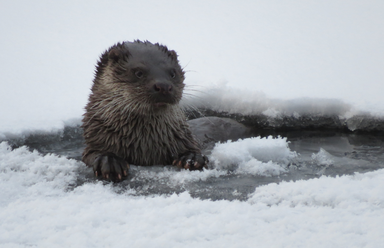 Valokuvaaja: Olli Haukkovaara