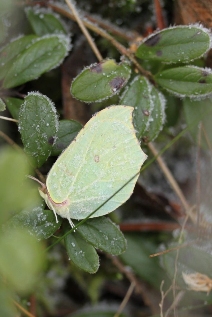 Valokuvaaja: Päivi Salonen