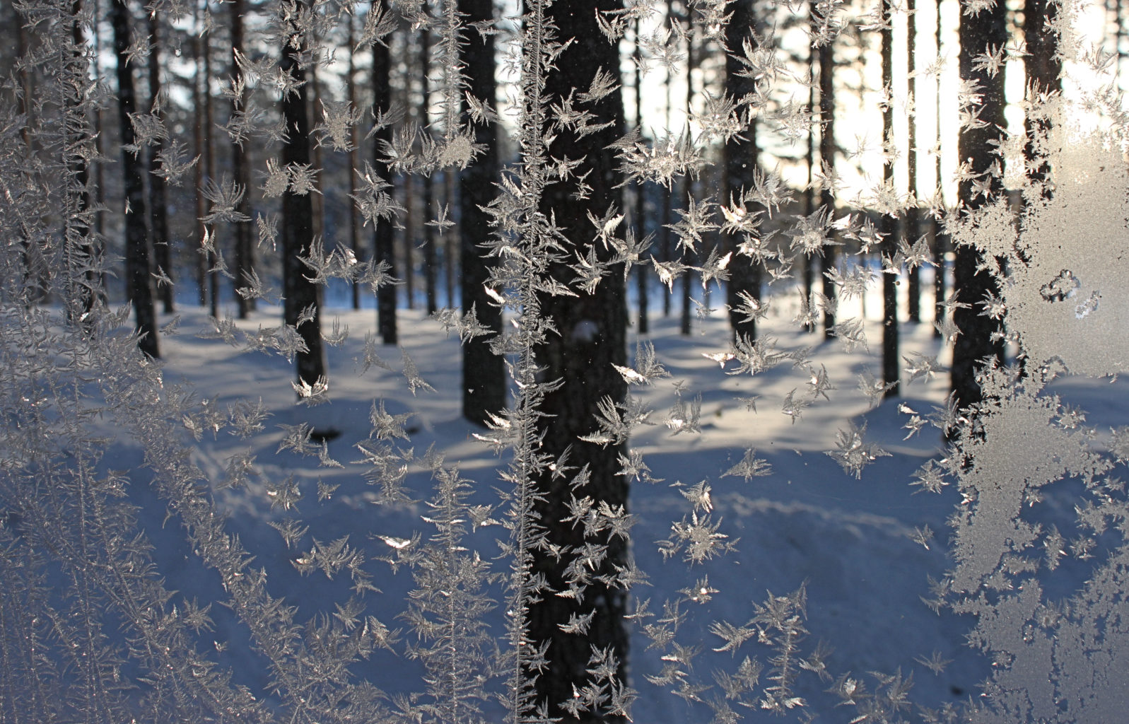 Valokuvaaja: Ahti Keränen Valokuvaaja: Ahti Keränen