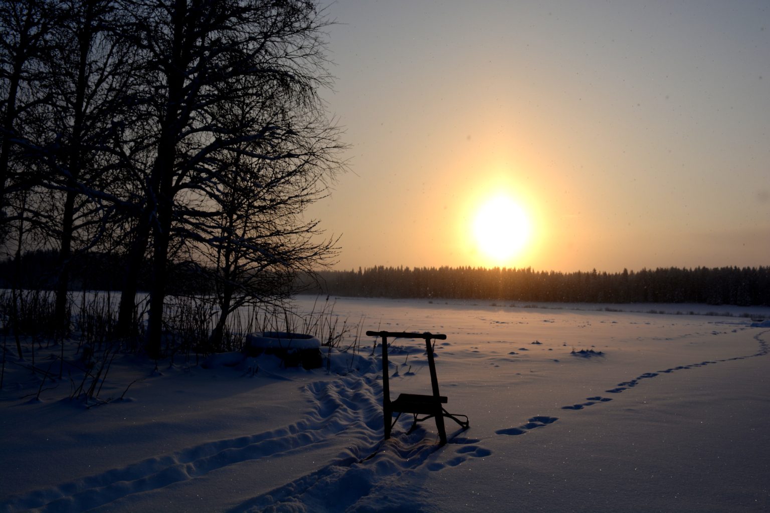 Valokuvaaja: Maija Savolainen Valokuvaaja: Maija Savolainen