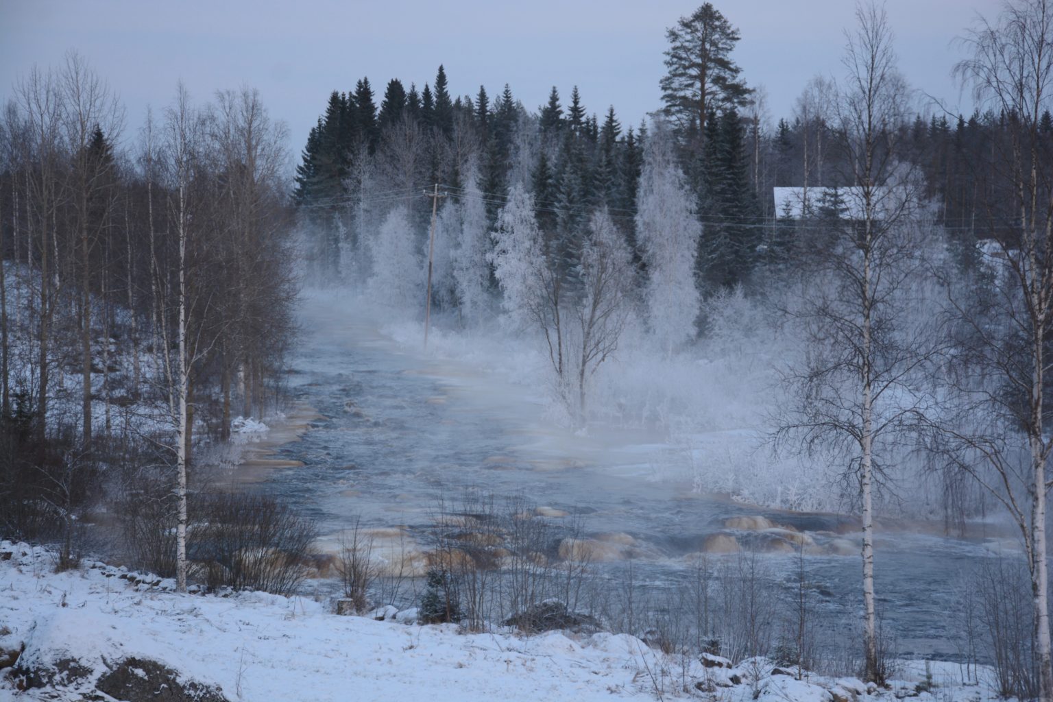 Valokuvaaja: Maija Savolainen
