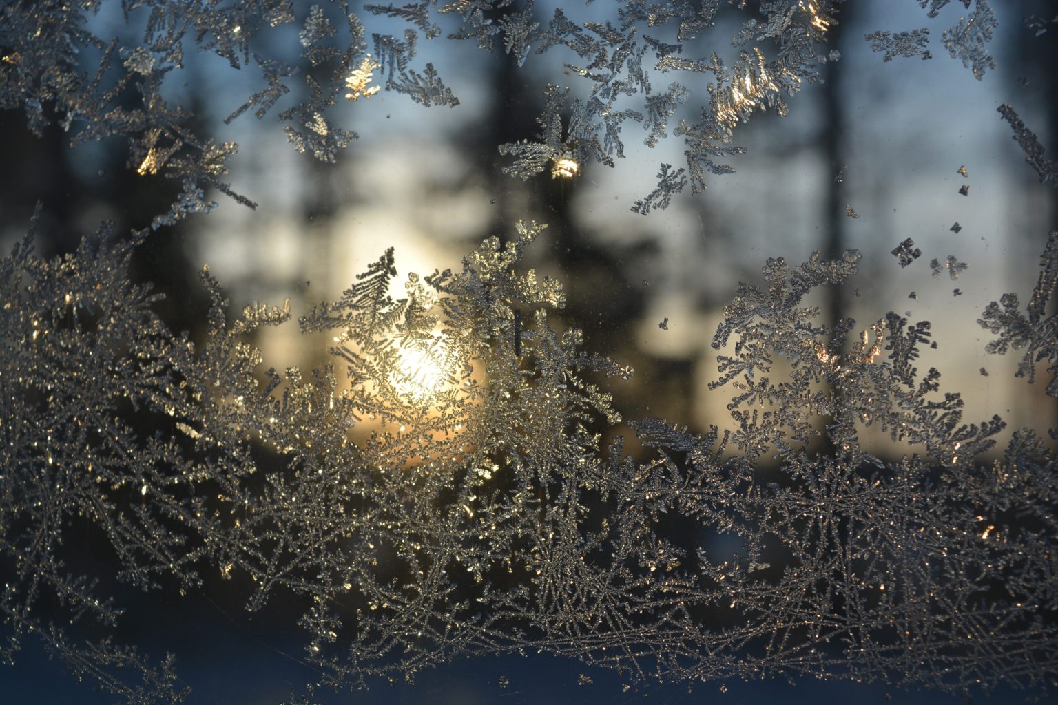 Valokuvaaja: Maija Savolainen