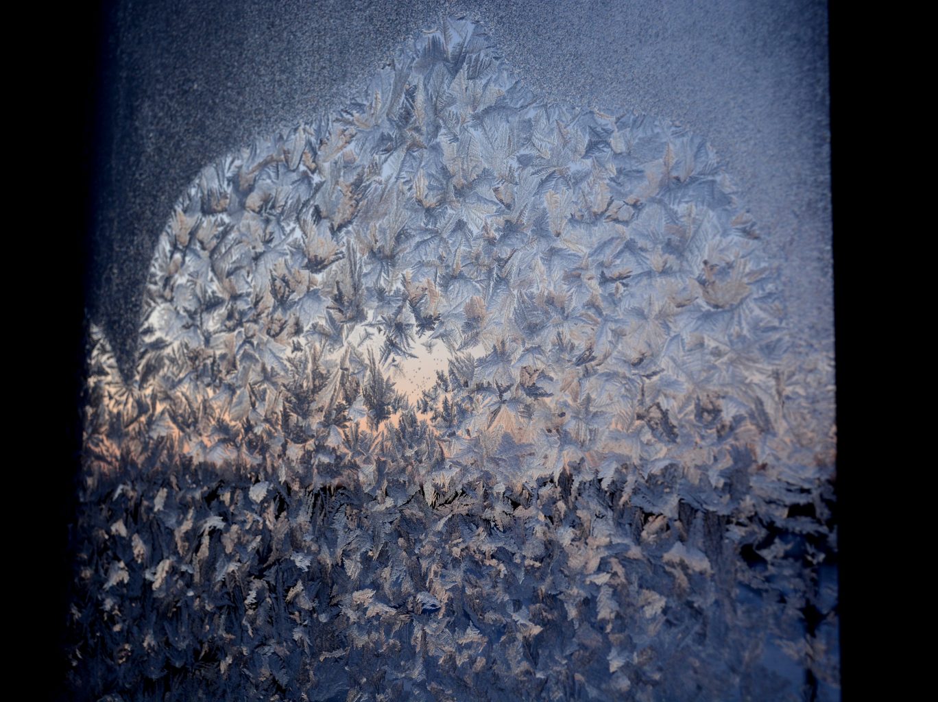 Valokuvaaja: Maija Savolainen