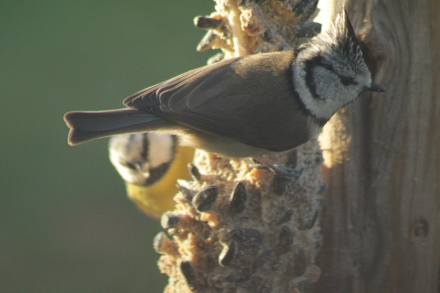 Valokuvaaja: Päivi Salonen