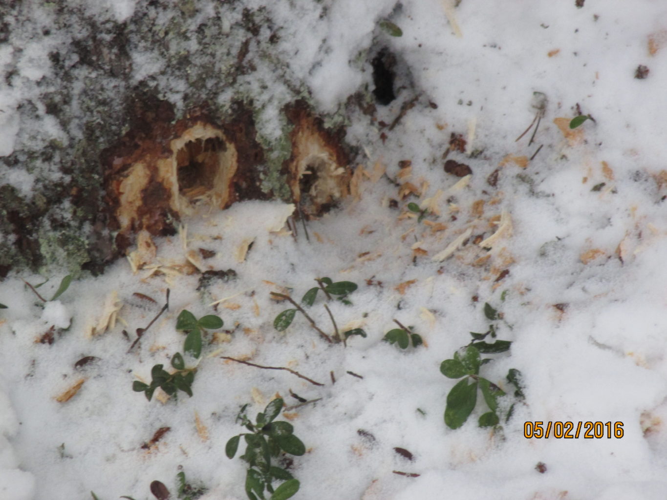 Valokuvaaja: yrjo lukkari