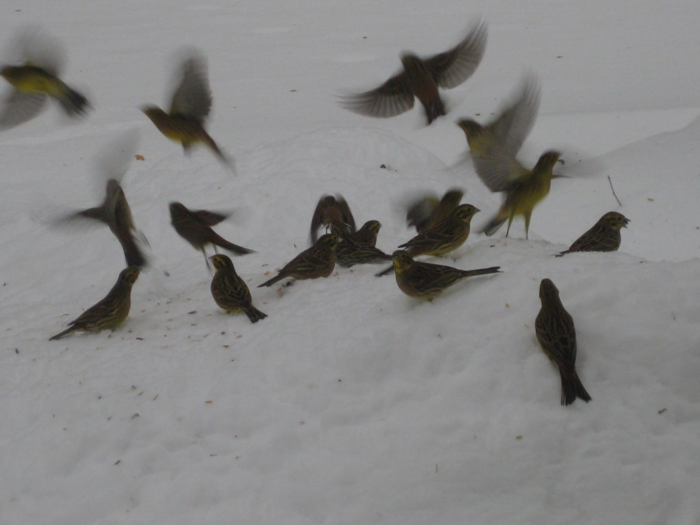 Valokuvaaja: yrjo lukkari