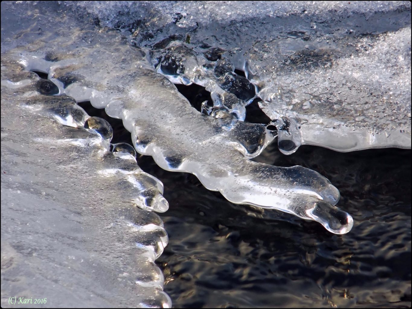 Valokuvaaja: Kari Saarinen