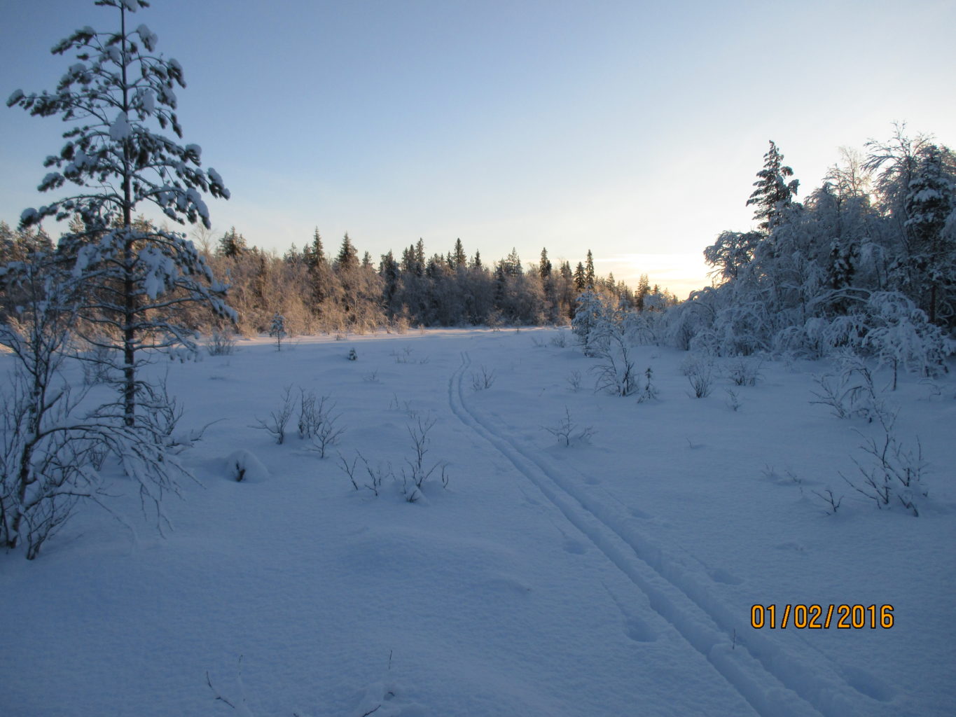 Valokuvaaja: yrjo lukkari