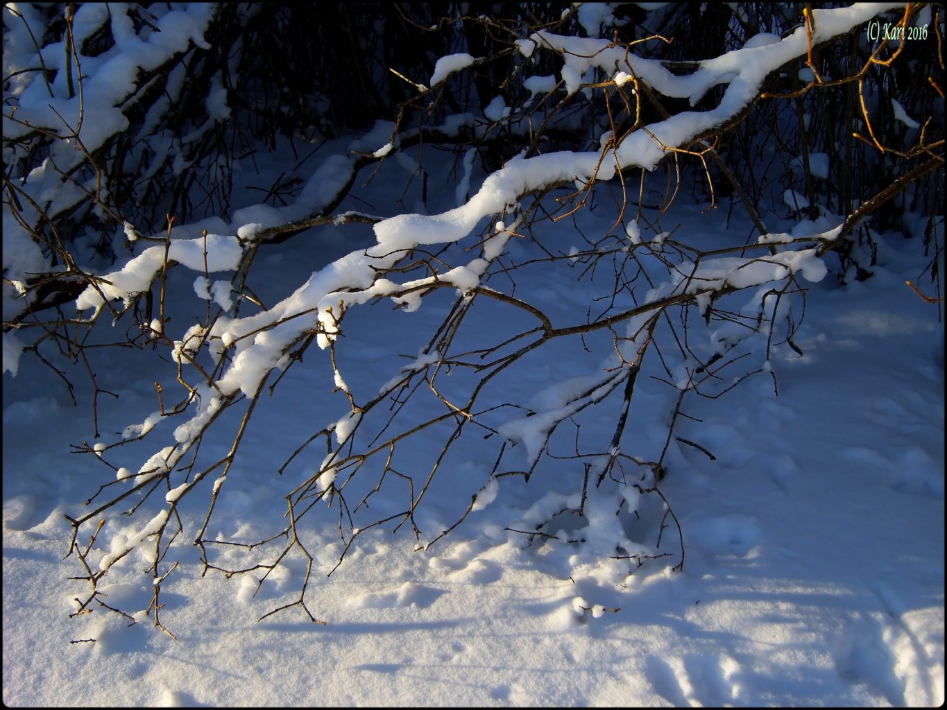 Valokuvaaja: Kari Saarinen