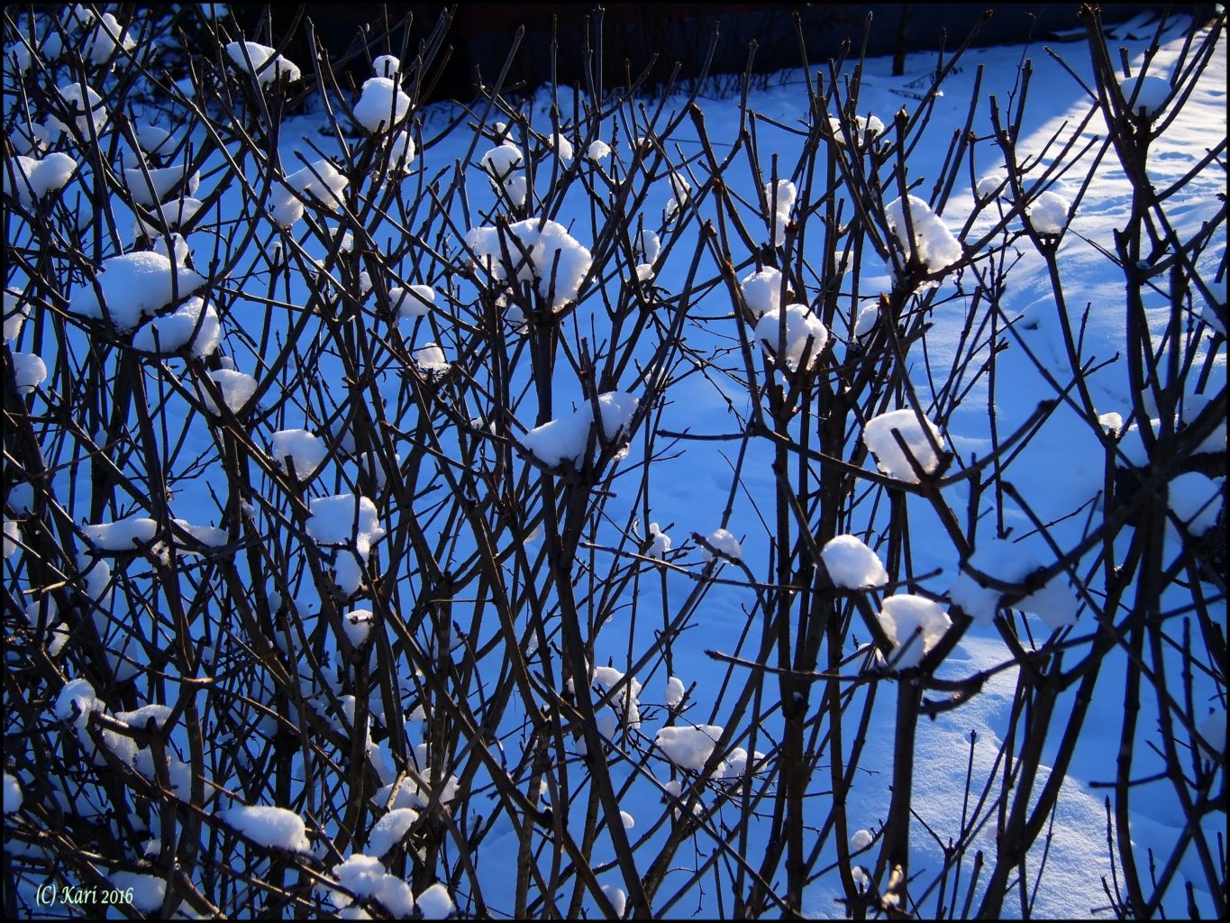 Valokuvaaja: Kari Saarinen