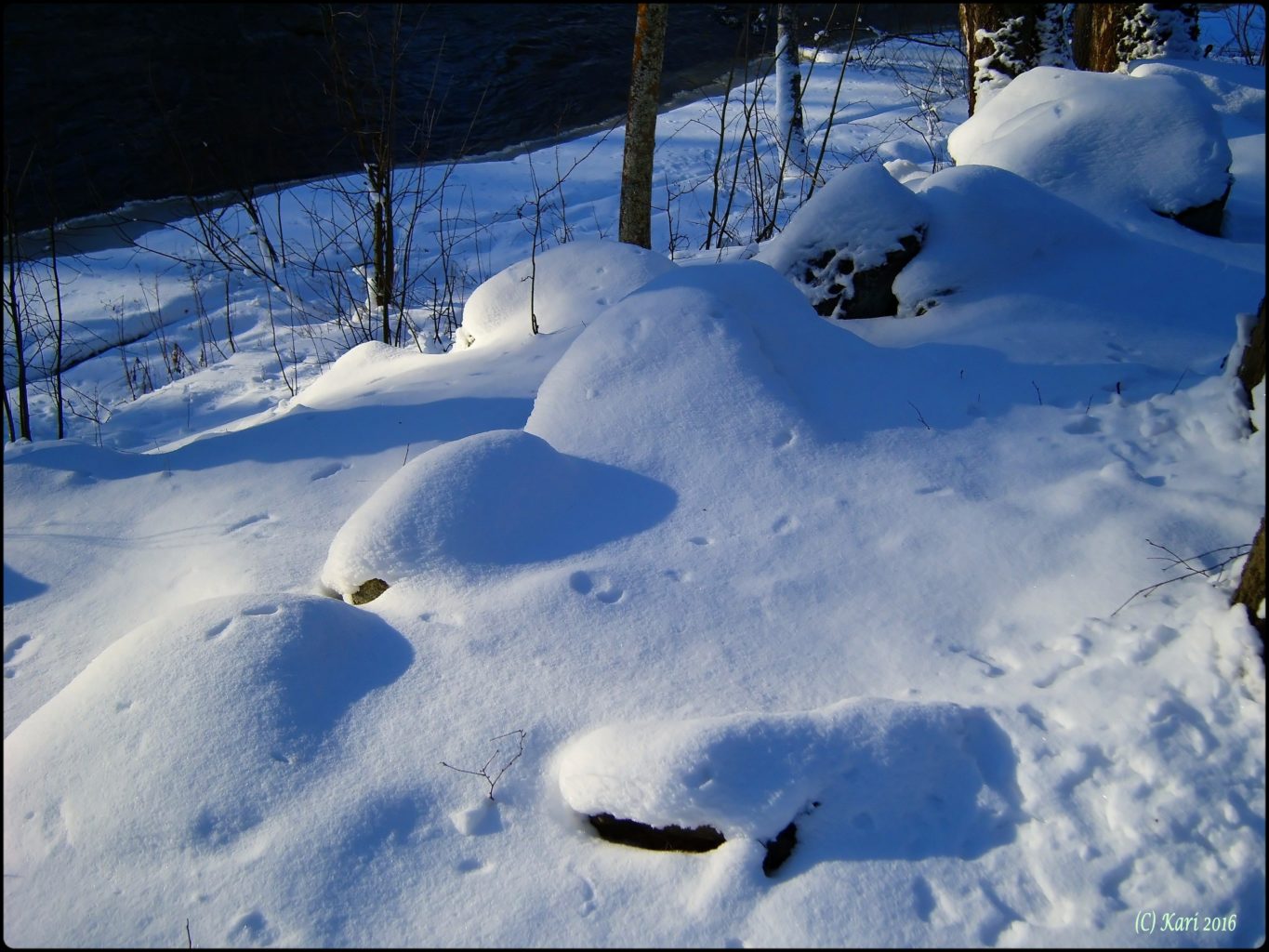 Valokuvaaja: Kari Saarinen Valokuvaaja: Kari Saarinen