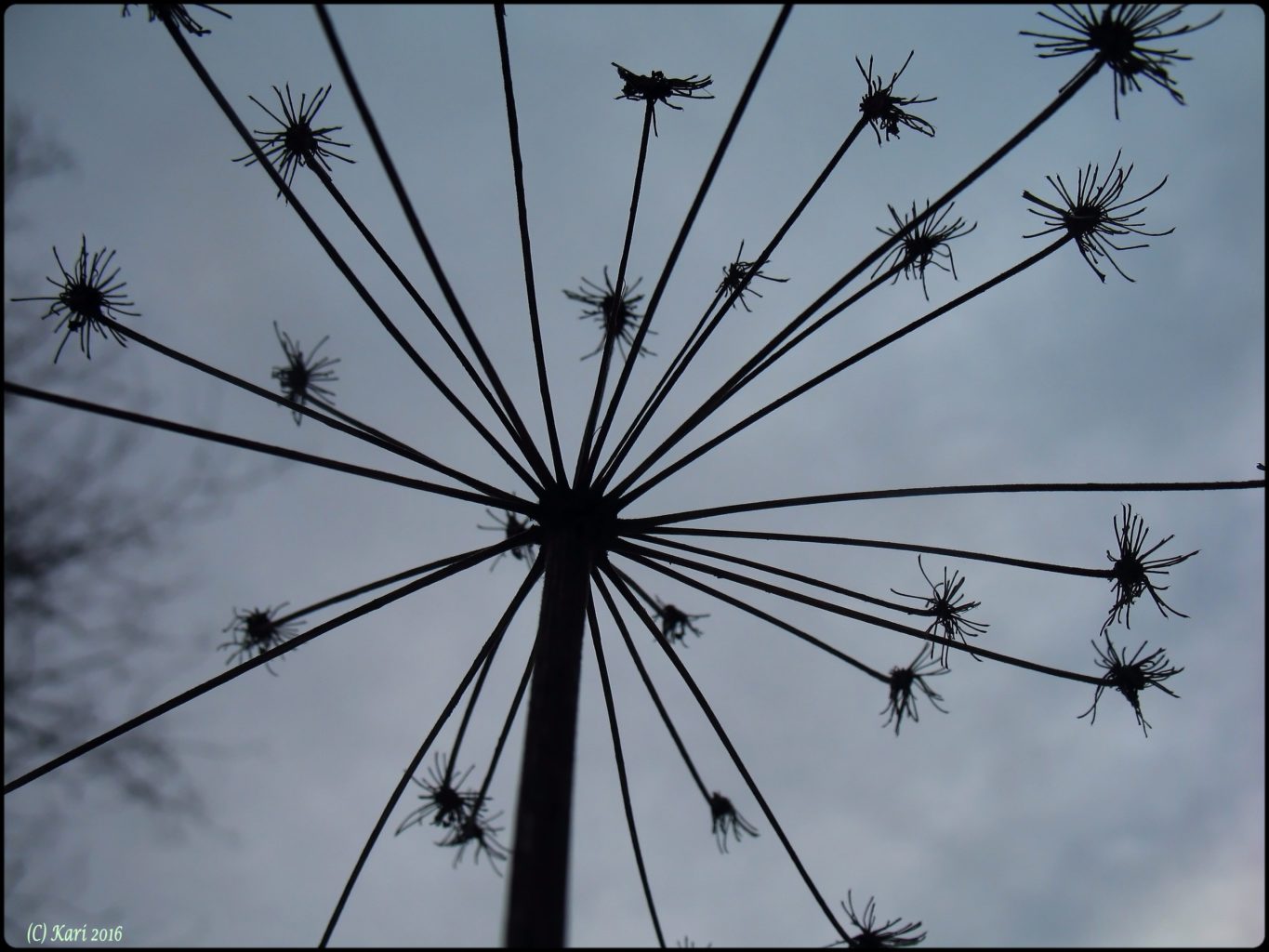 Valokuvaaja: Kari Saarinen