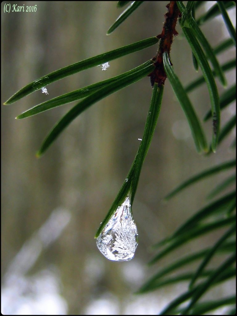 Valokuvaaja: Kari Saarinen