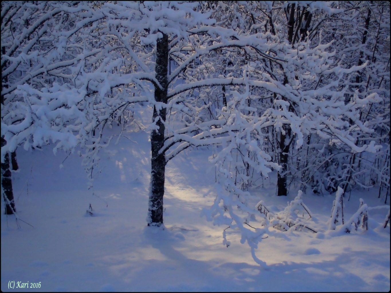 Valokuvaaja: Kari Saarinen