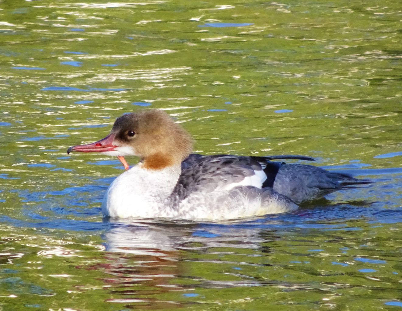 Valokuvaaja: Irja lehtinen