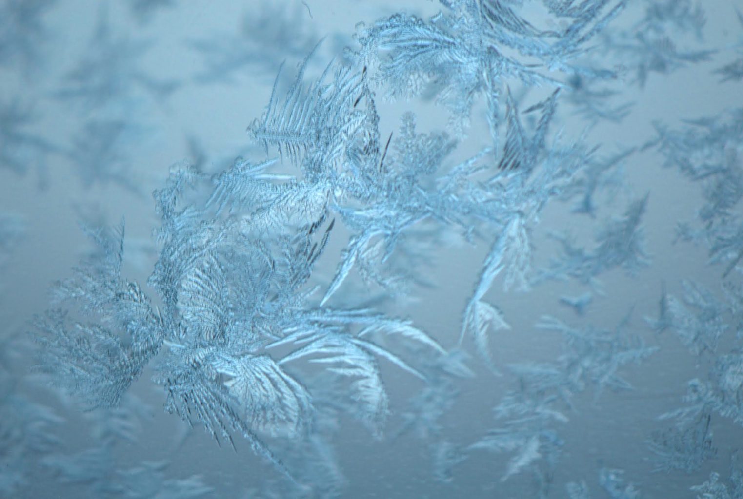 Valokuvaaja: Arja Tappola