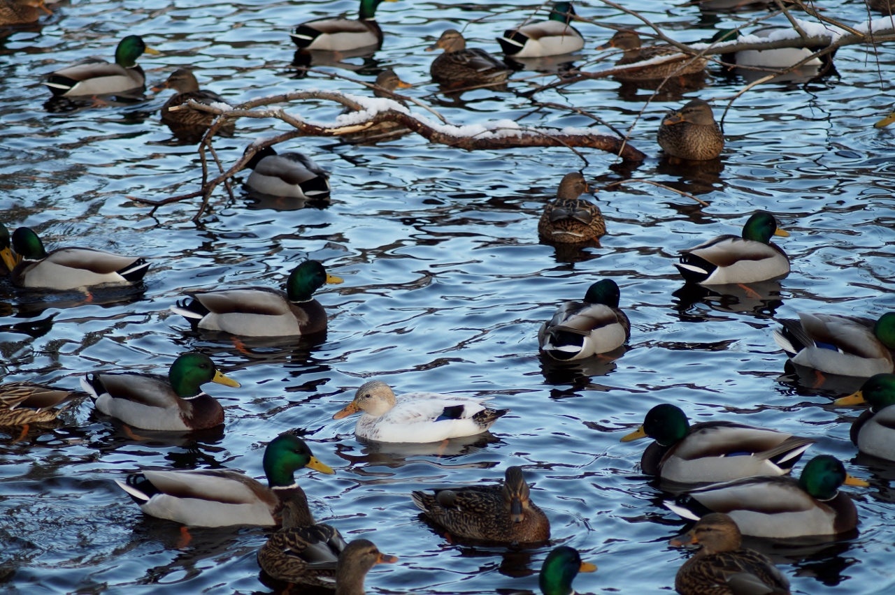 Valokuvaaja: Maarit Siitonen