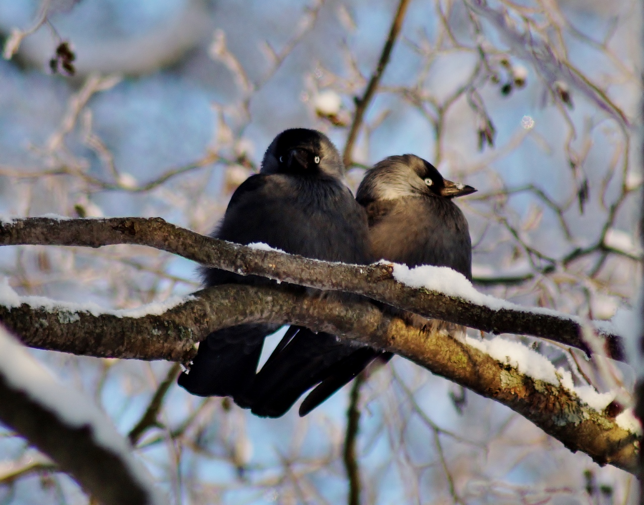 Valokuvaaja: Maarit Siitonen