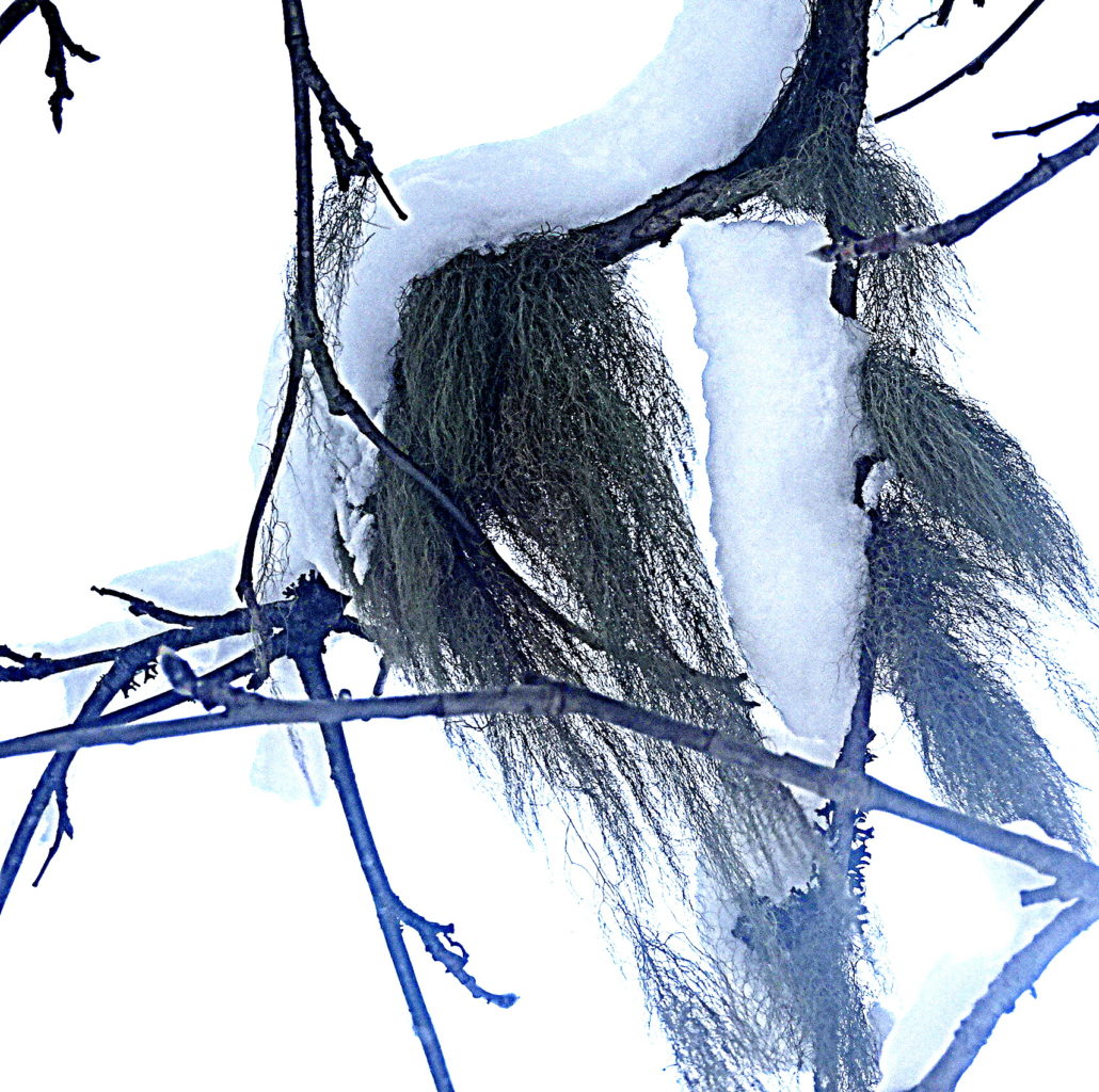 Valokuvaaja: Irja lehtinen