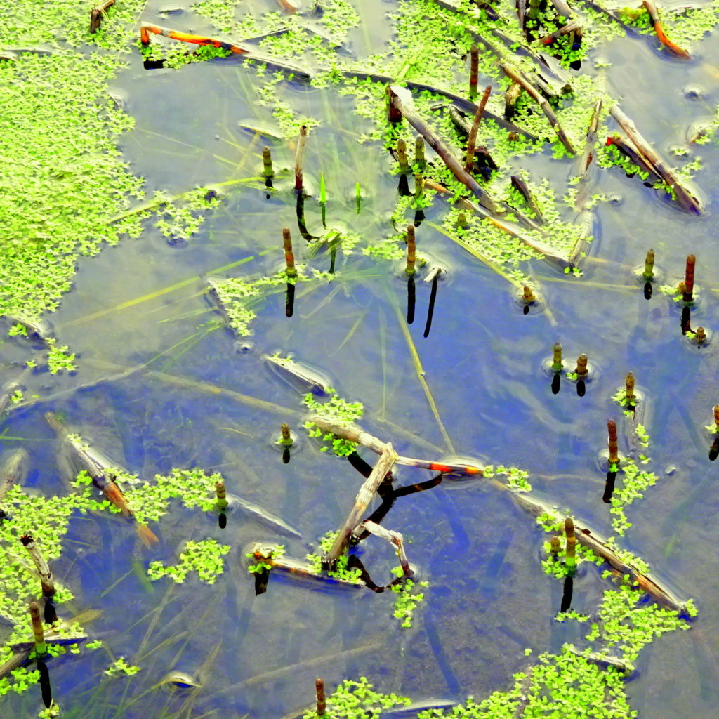 Valokuvaaja: Irja Lehtinen