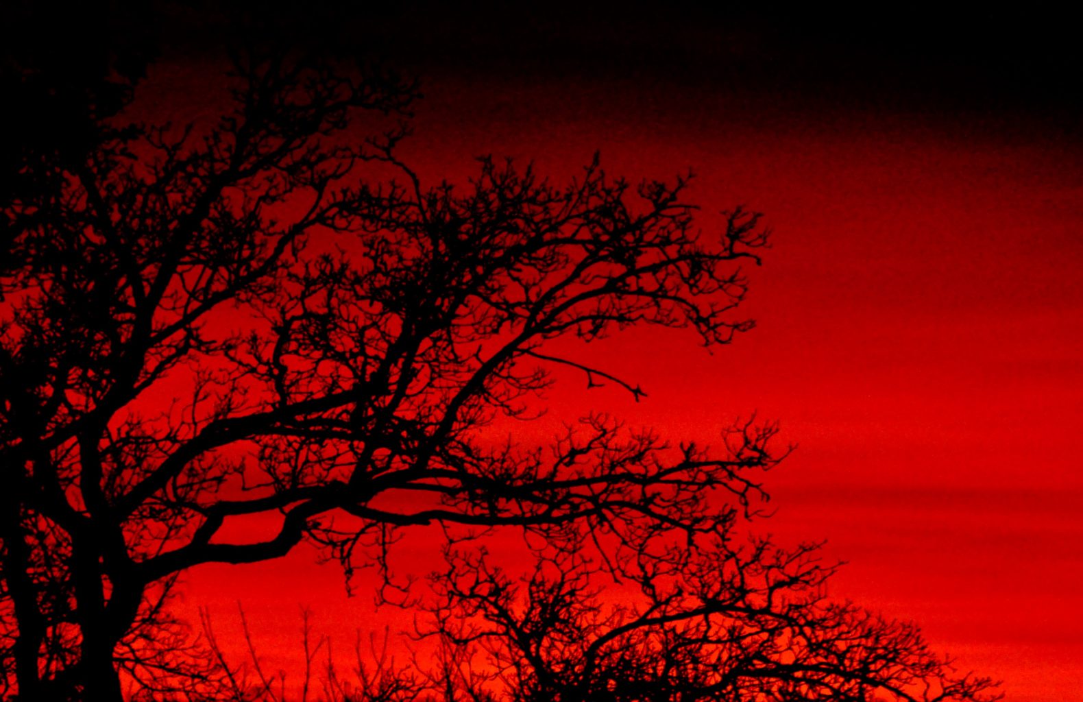 Valokuvaaja: Jenni Merilä Valokuvaaja: Jenni Merilä