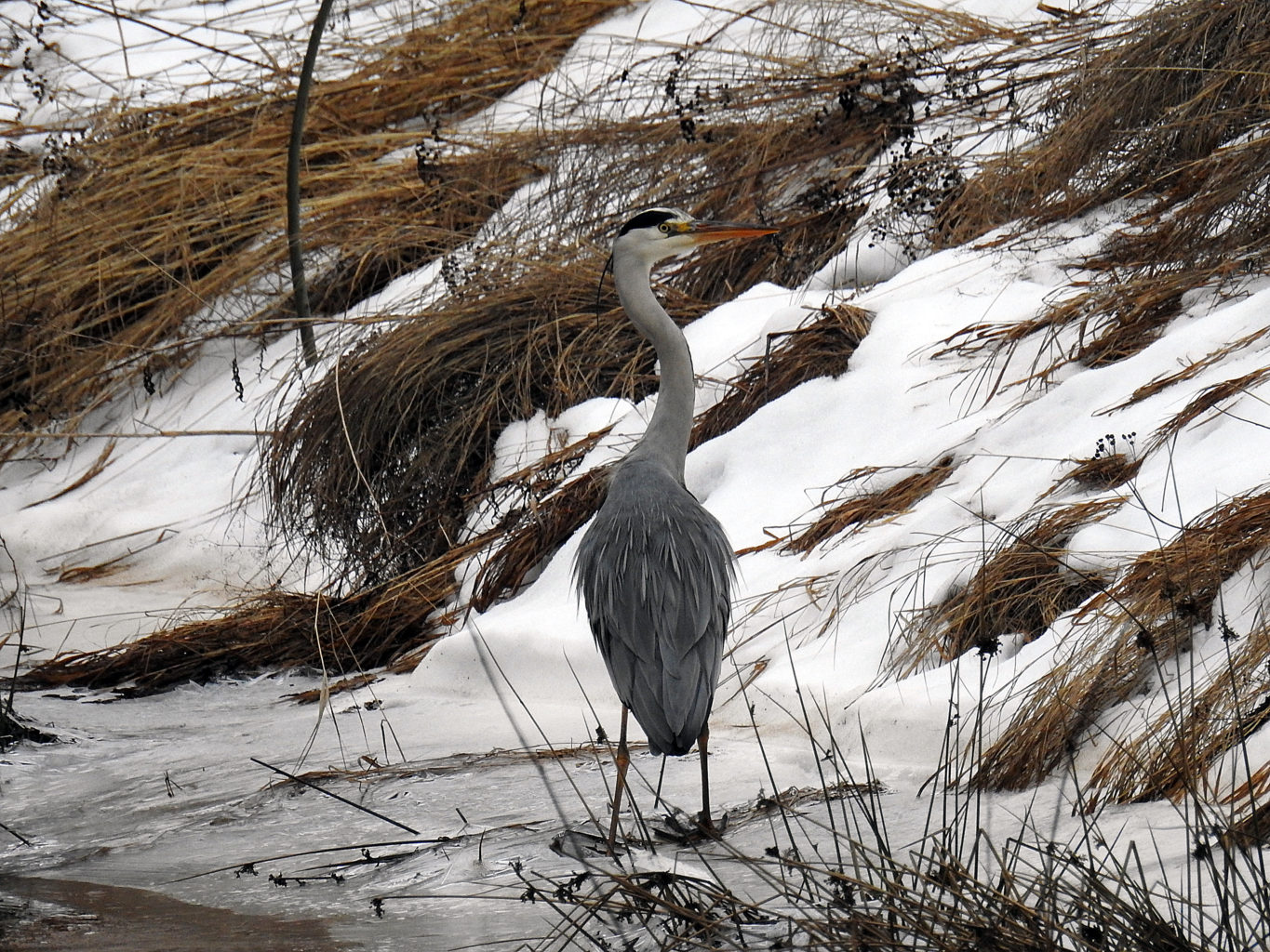 Valokuvaaja: Paavo Siukonen