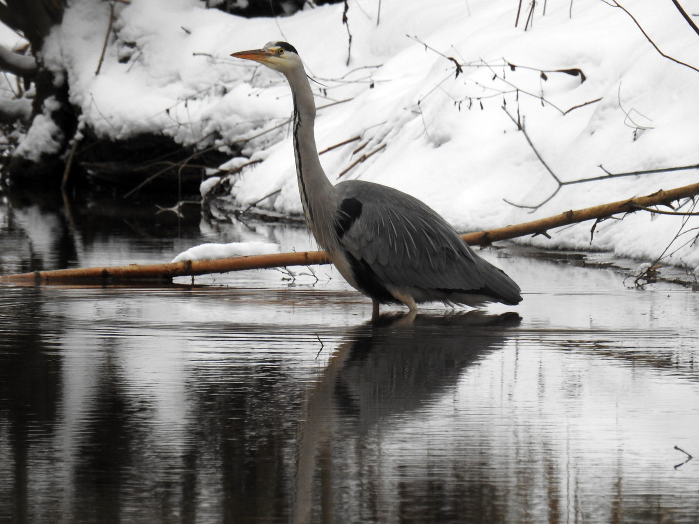 Valokuvaaja: Paavo Siukonen