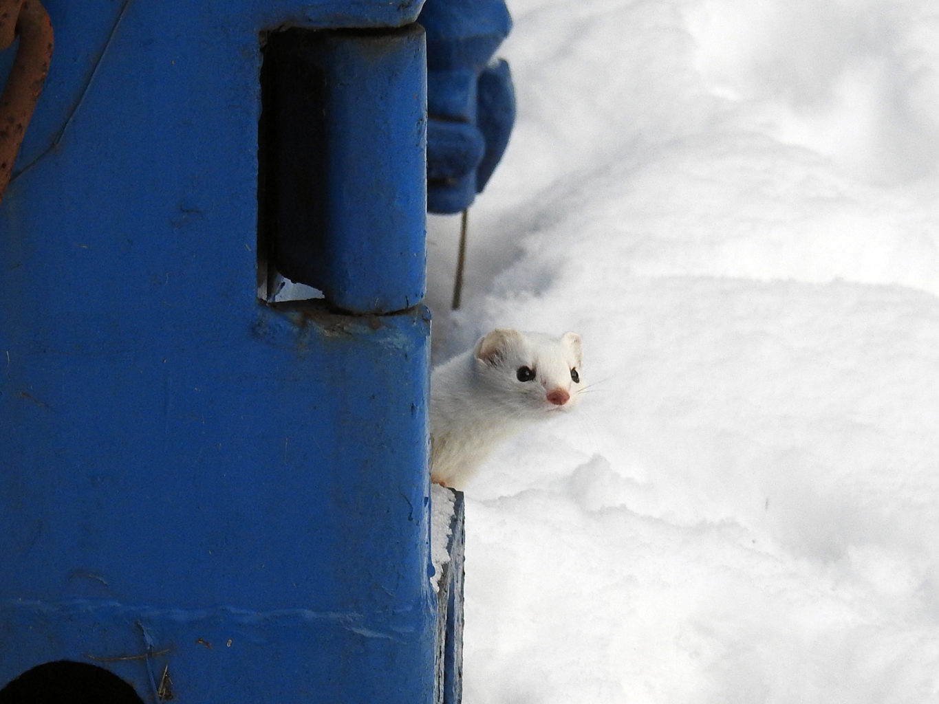 Valokuvaaja: Paavo Siukonen