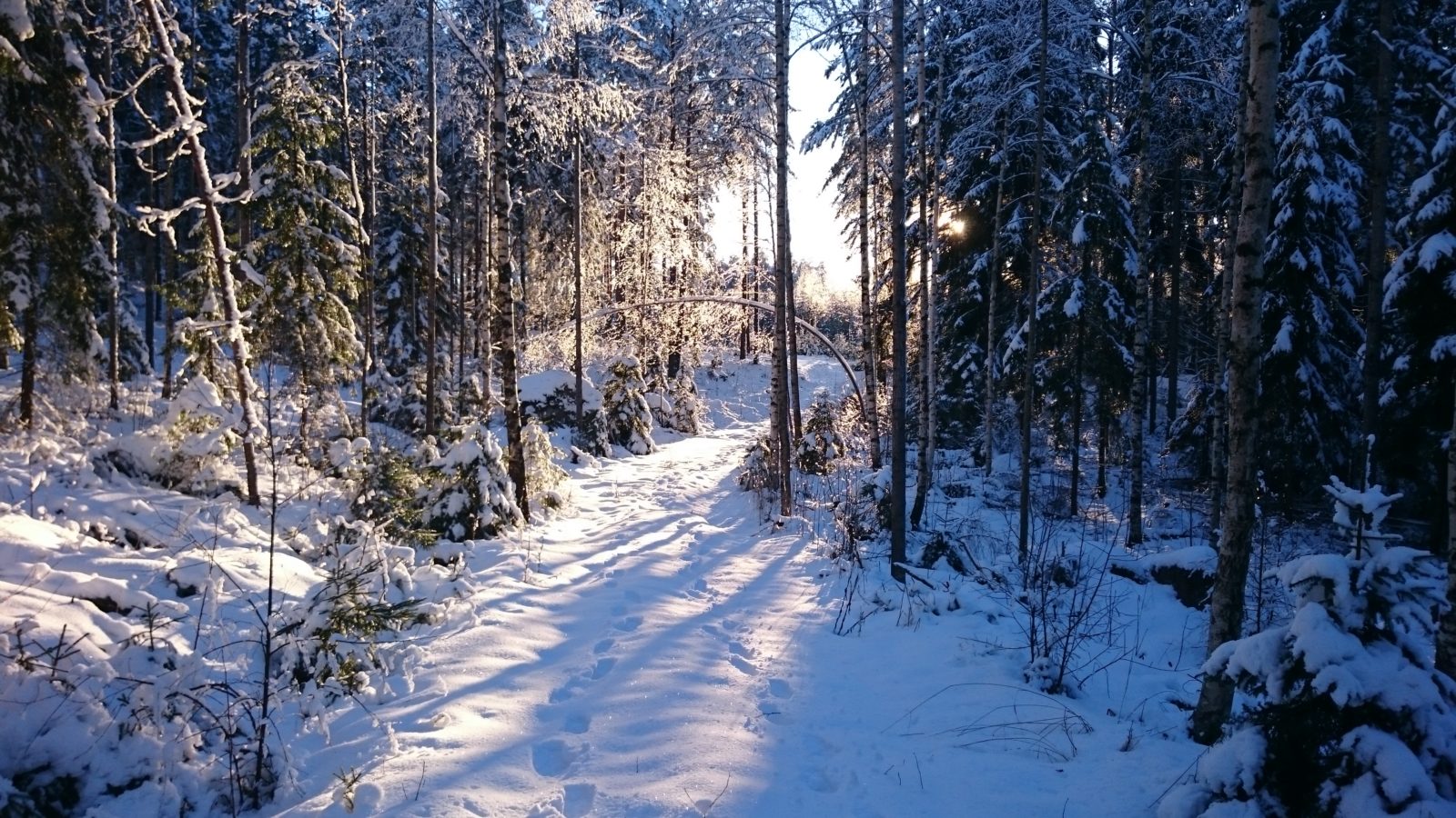 Valokuvaaja: Jari Hyvönen