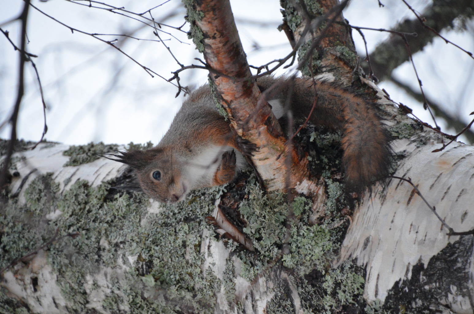 Valokuvaaja: Pirre Lahti Valokuvaaja: Pirre Lahti