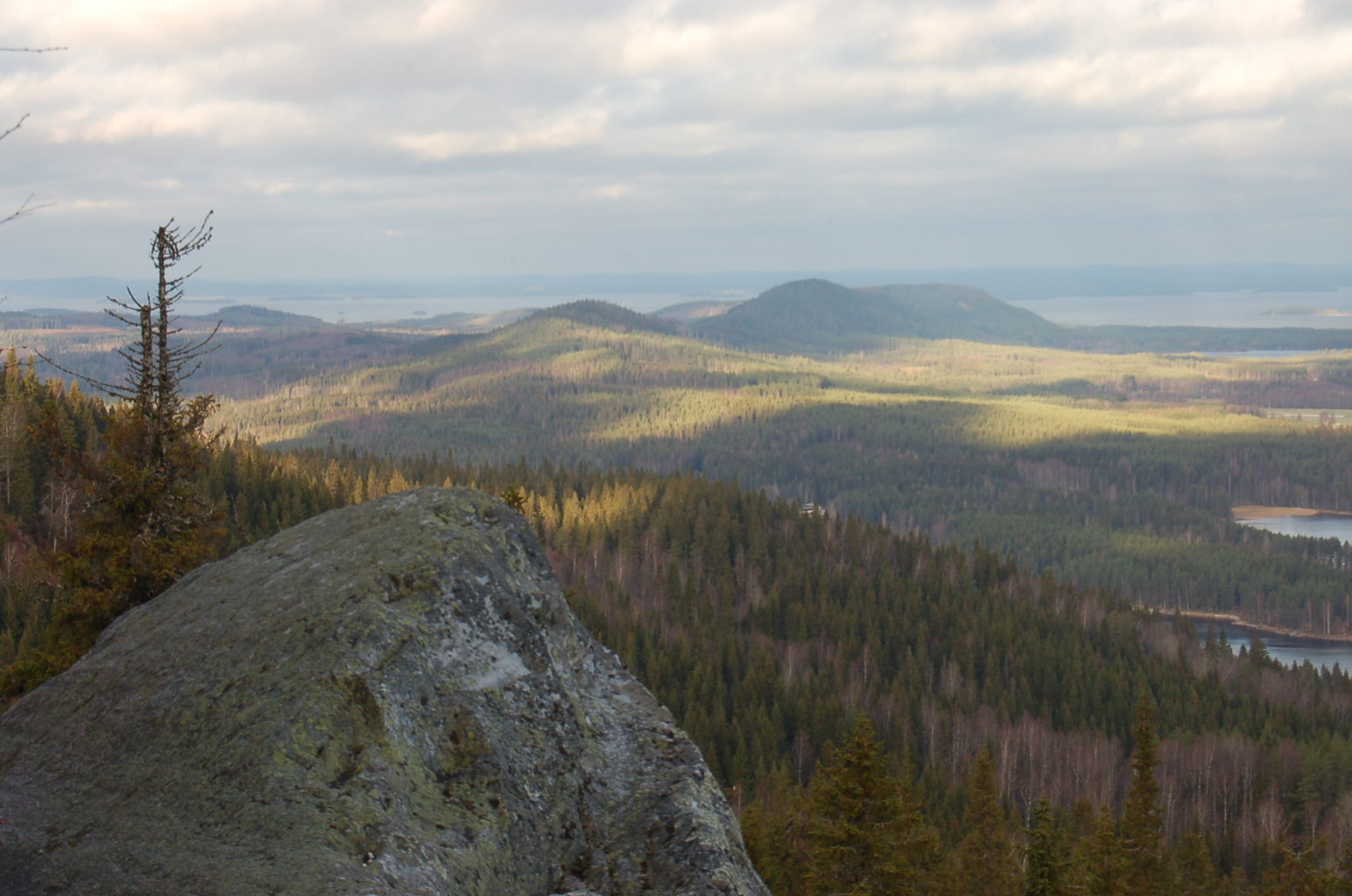 Valokuvaaja: Nina Simonen