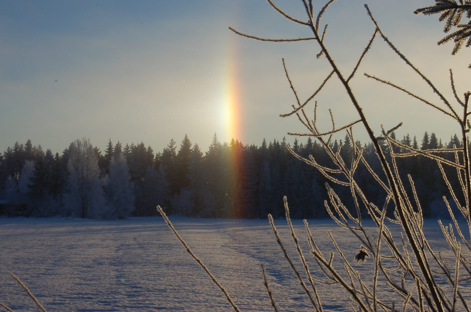 Valokuvaaja: Nina Simonen