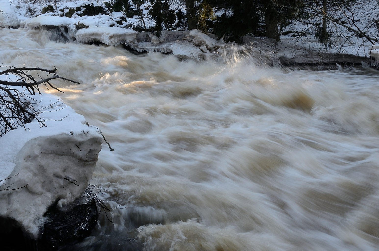 Valokuvaaja: Rauno Mäkinen