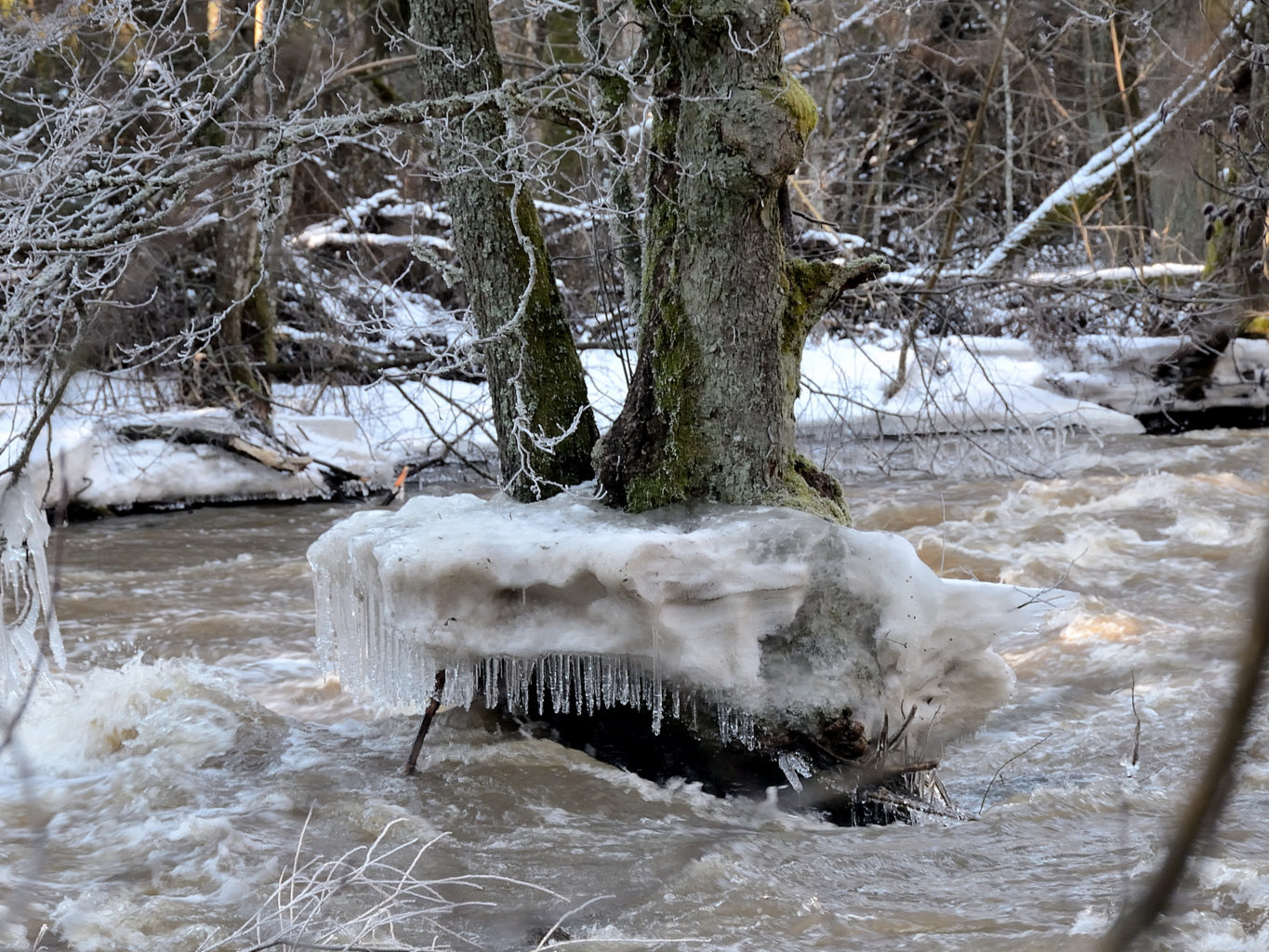 Valokuvaaja: Rauno Mäkinen