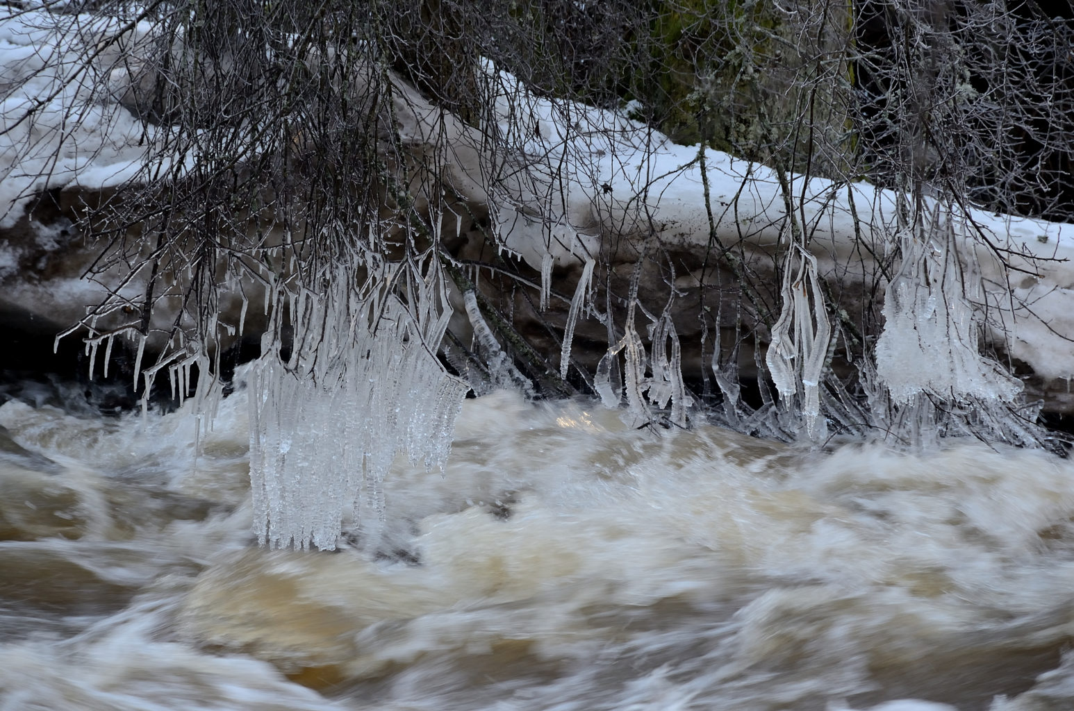 Valokuvaaja: Rauno Mäkinen
