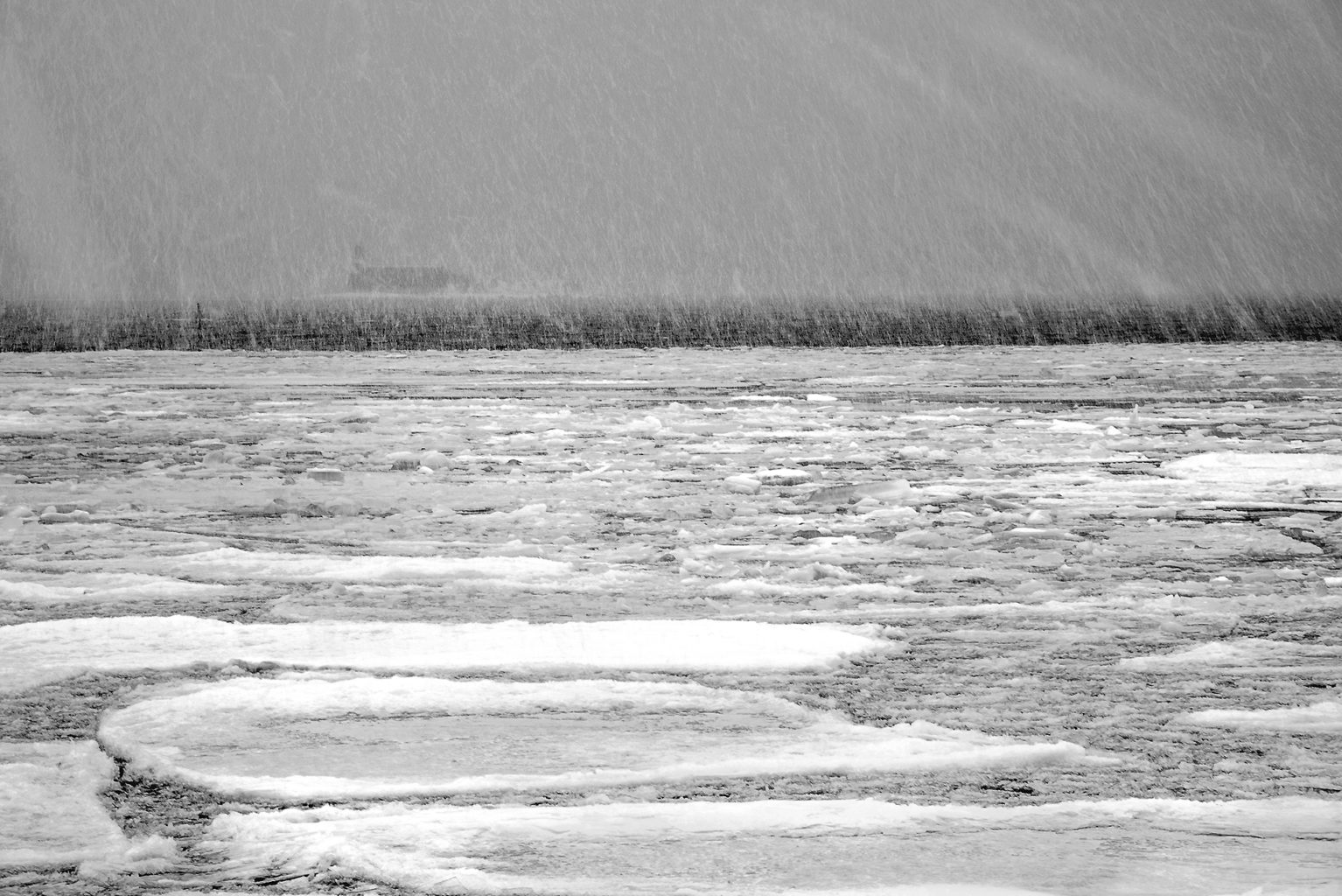 Valokuvaaja: Carl Irjala