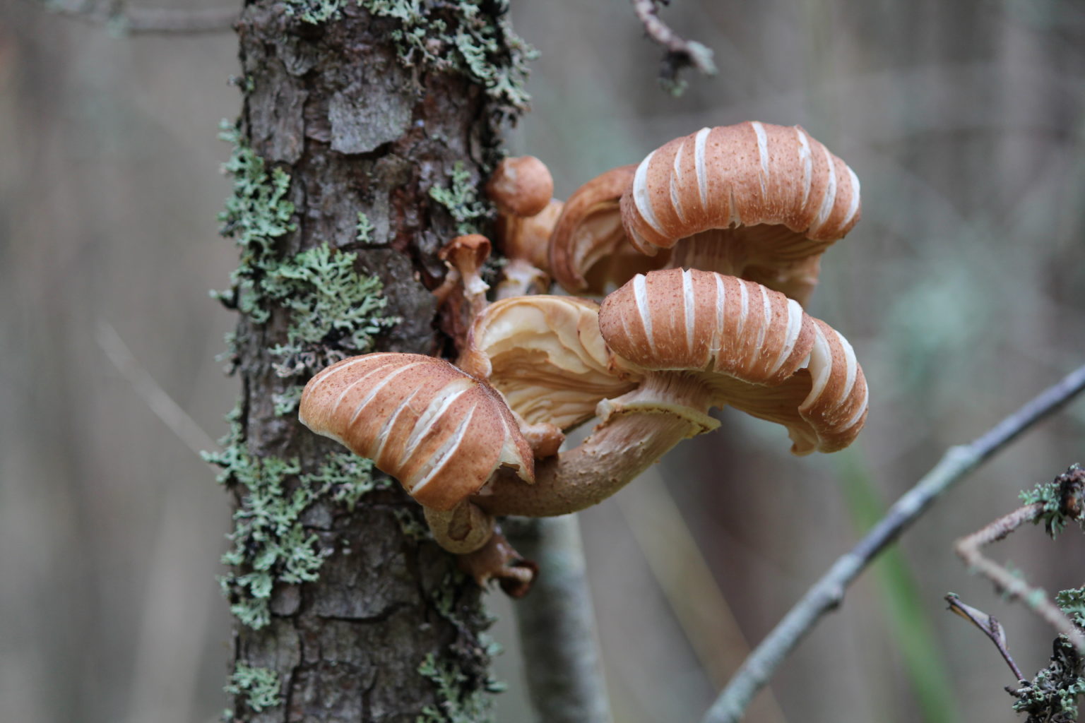 Valokuvaaja: Juhani Stén