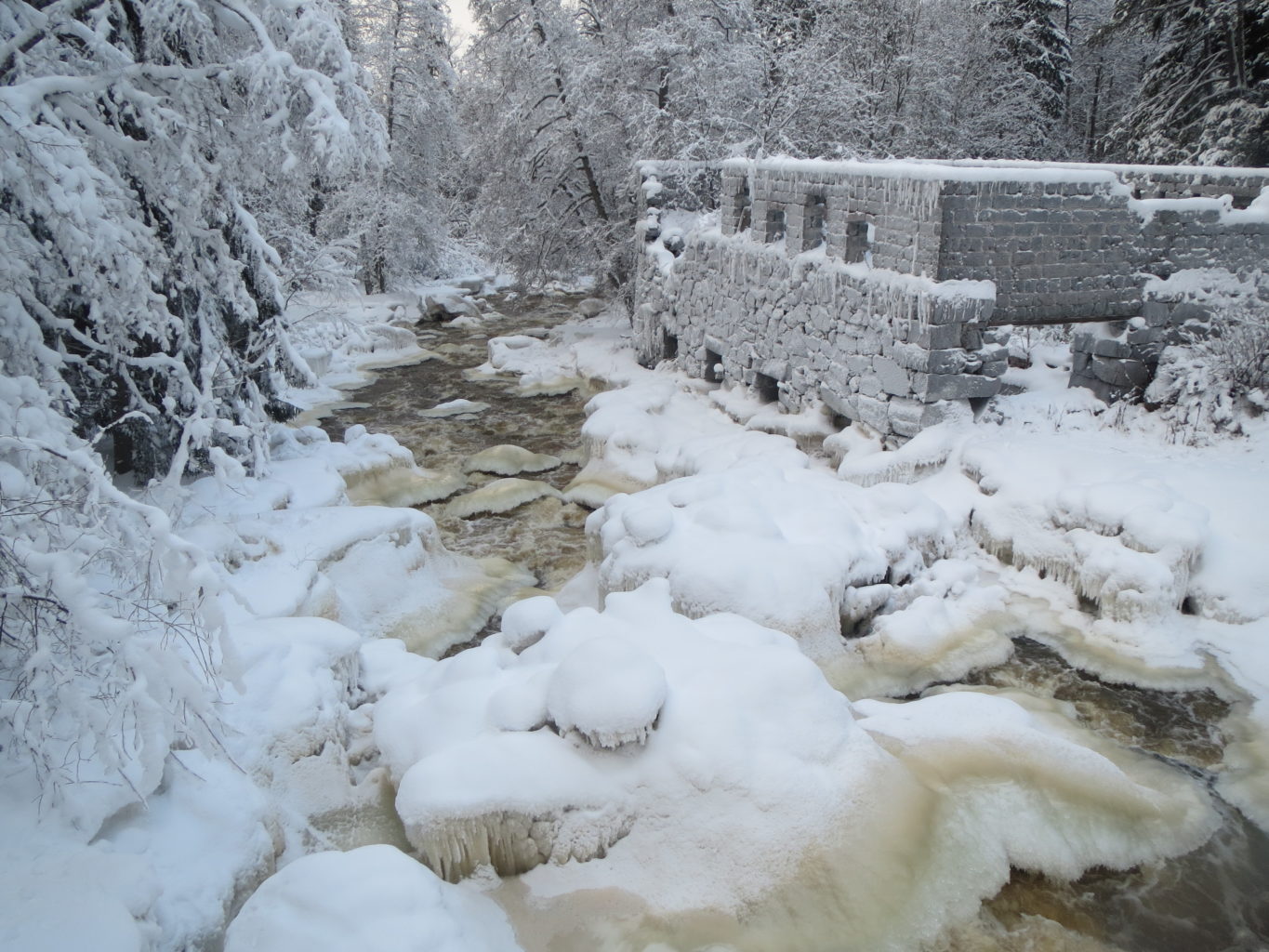 Valokuvaaja: Terttu Rantanen