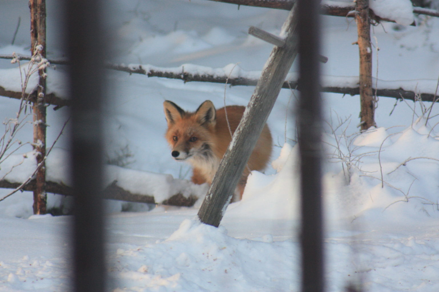 Valokuvaaja: Jari Hyvönen