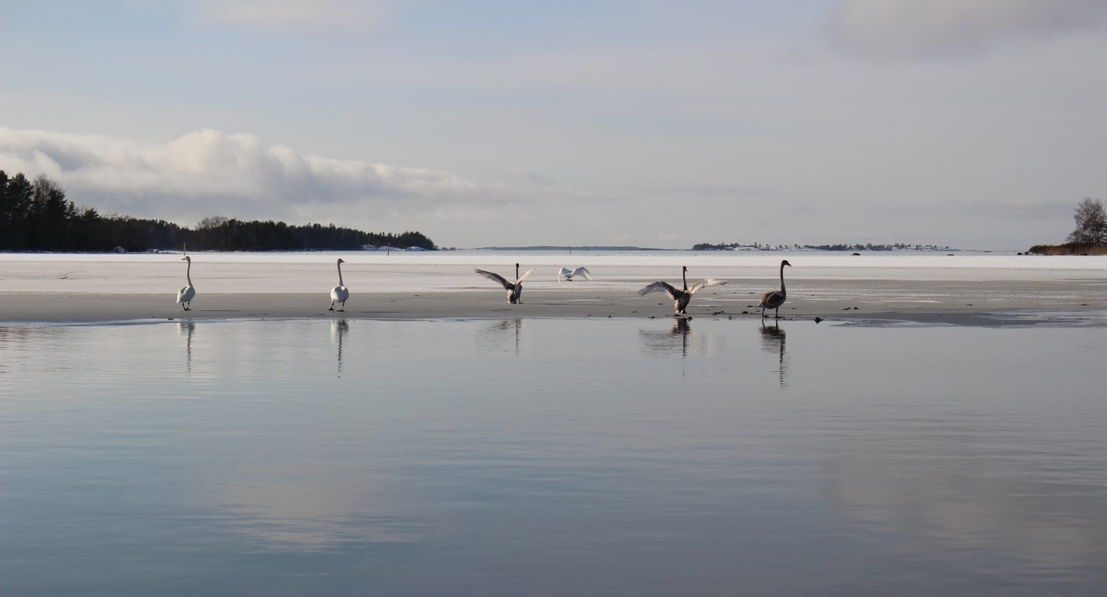 Valokuvaaja: Antti Saarelainen Valokuvaaja: Antti Saarelainen