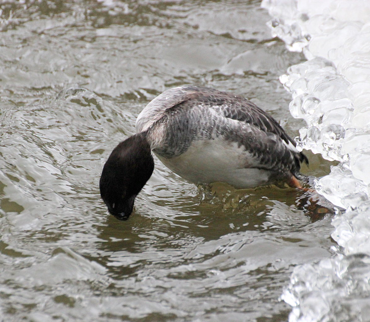 Valokuvaaja: Irja lehtinen