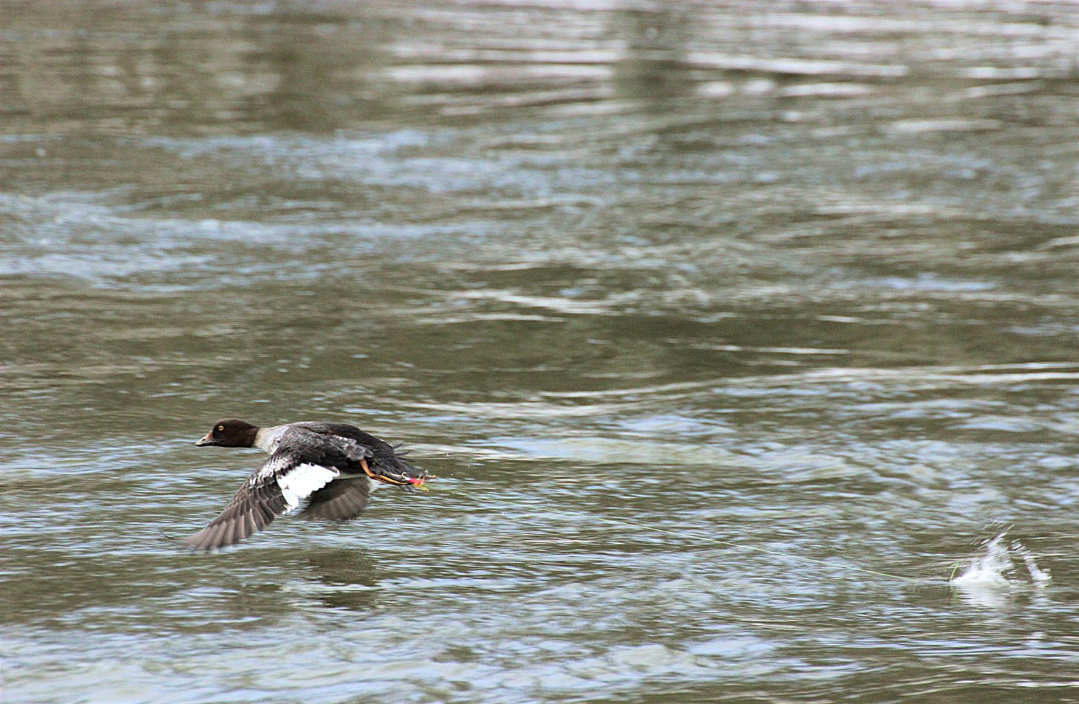 Valokuvaaja: Irja lehtinen