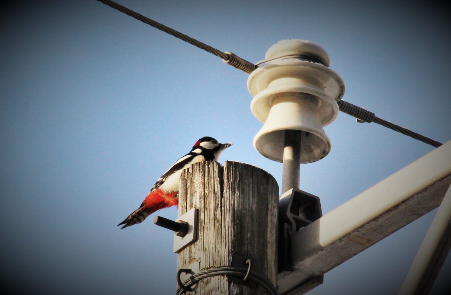Valokuvaaja: Merja Kaitila