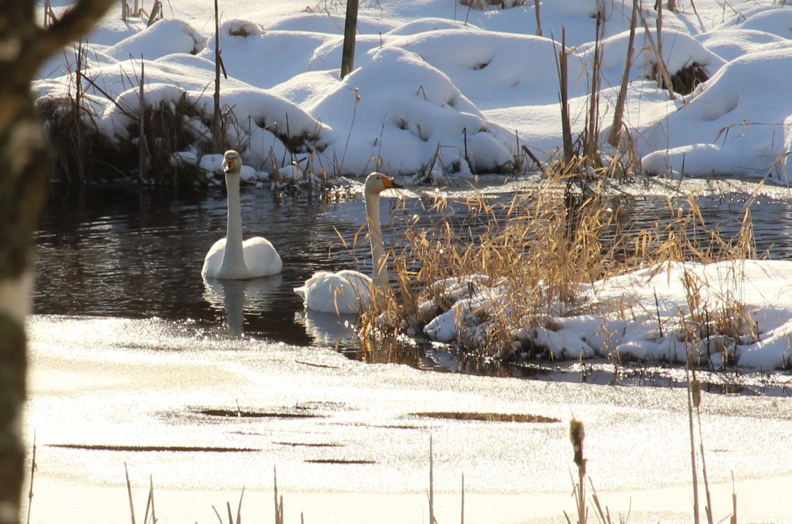 Valokuvaaja: Merja Kaitila