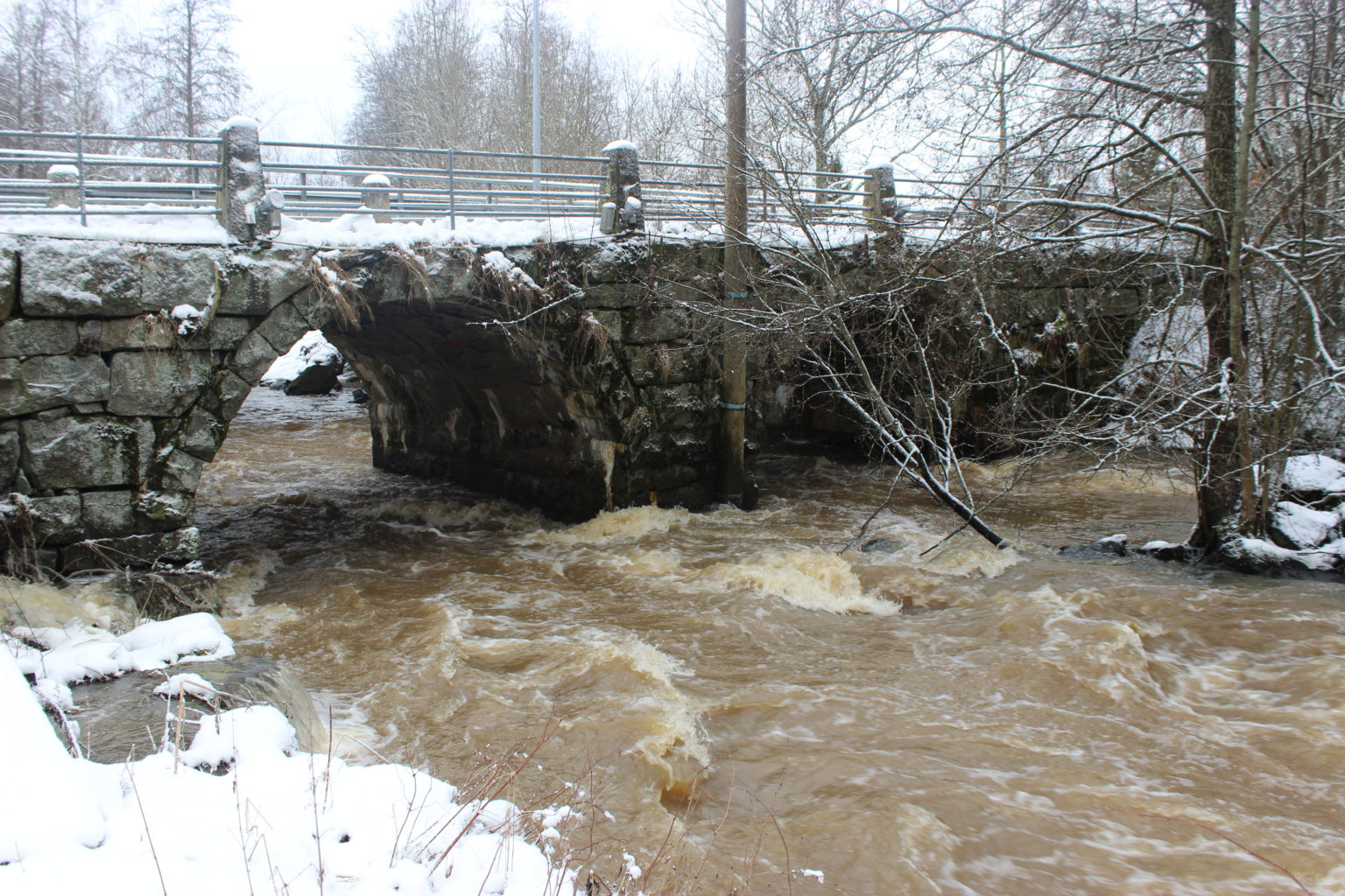 Valokuvaaja: Irja lehtinen Valokuvaaja: Irja lehtinen