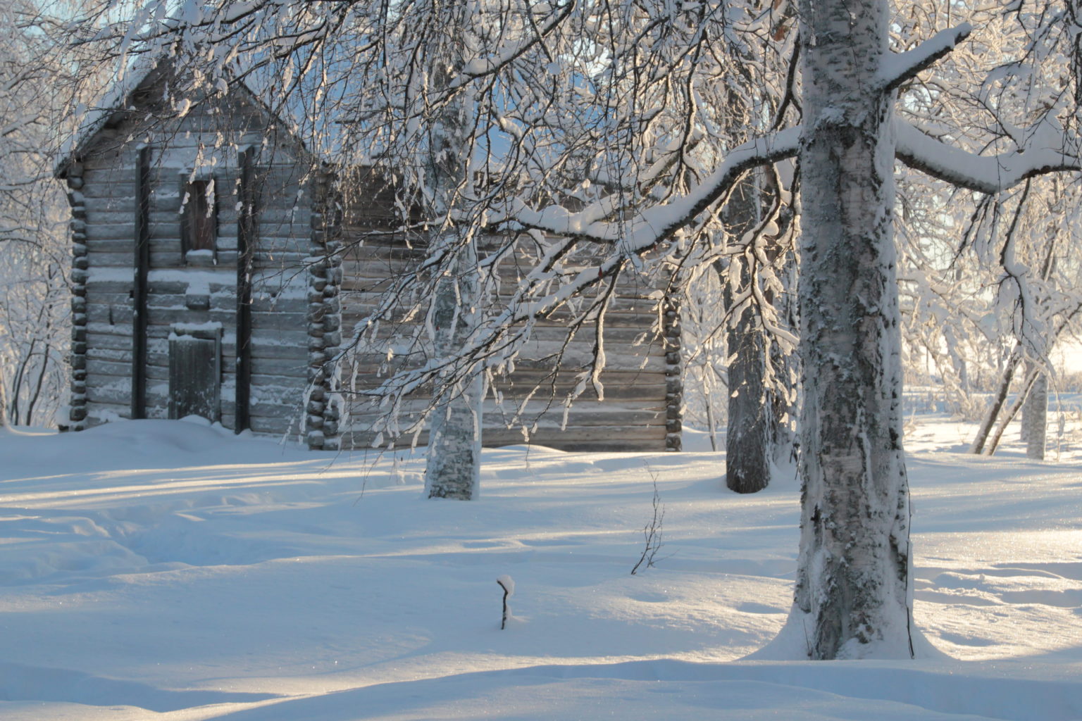 Valokuvaaja: Rauha Manninen
