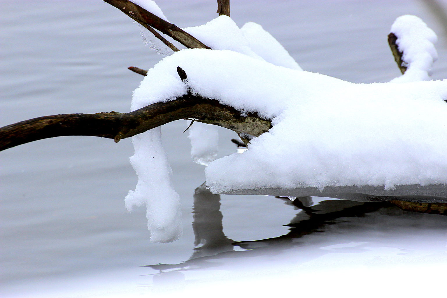 Valokuvaaja: Irja lehtinen