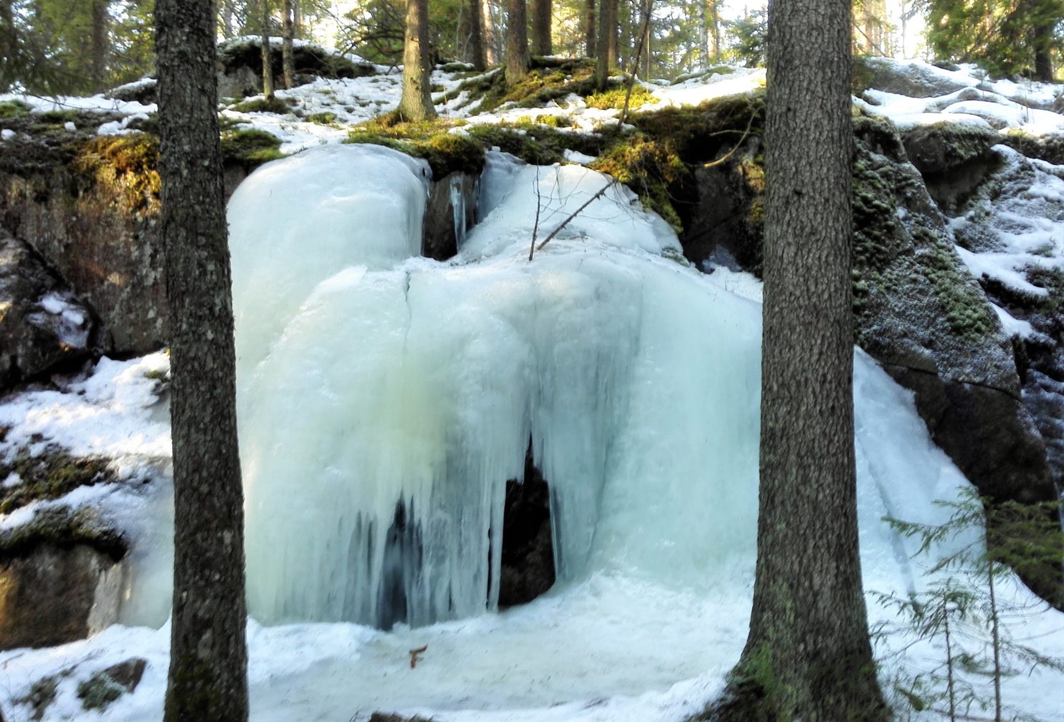 Valokuvaaja: Timo Parkkonen