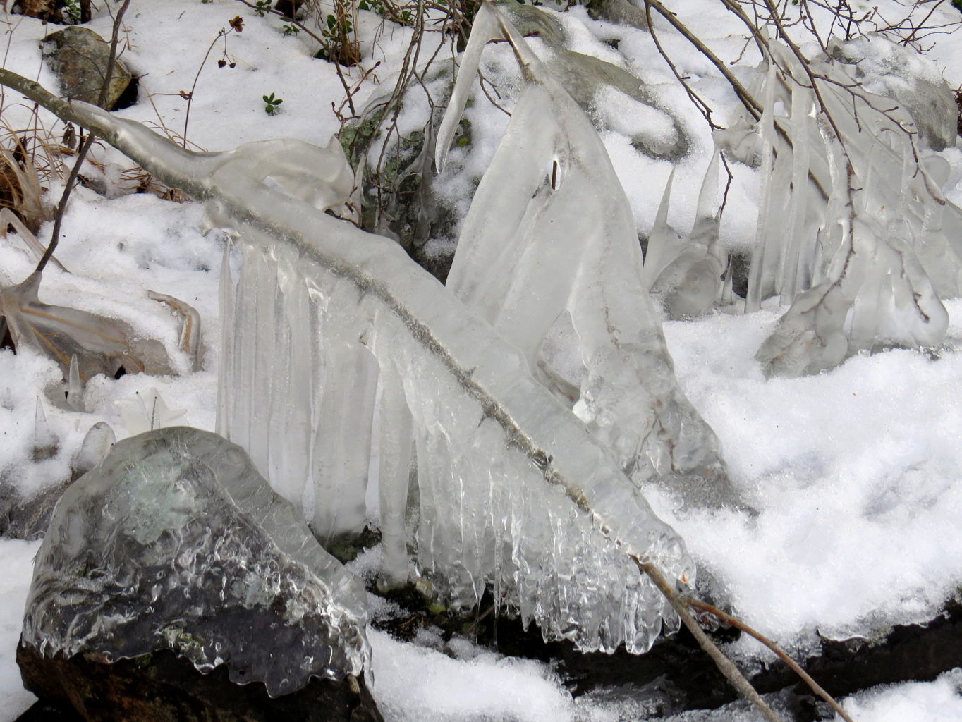 Valokuvaaja: Jaana Talvinen