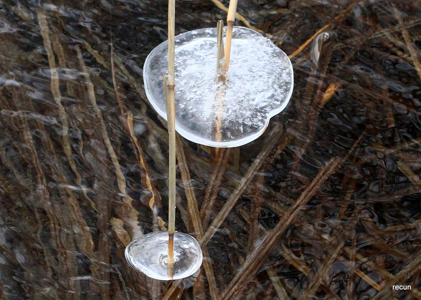 Valokuvaaja: reijo lehtonen